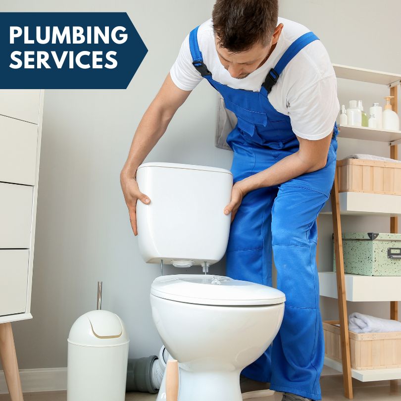 Plumbing Company in Mcnary, AZ